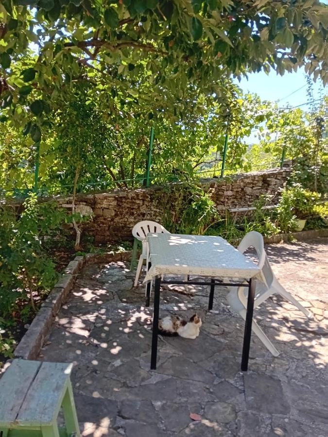 Stone Pazar Guest House Gjirokaster Bagian luar foto