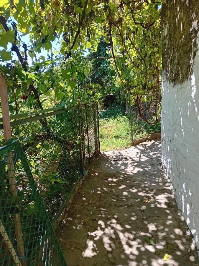Stone Pazar Guest House Gjirokaster Bagian luar foto